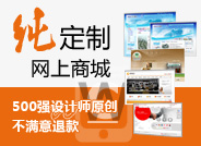 纯定制网上商城
