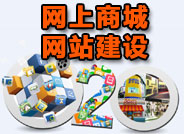 电子商务网站建设