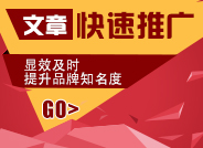 文章快速推广标准版