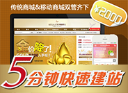 模板堂商业版A型 轻云服务器菁英版