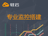 专业监控搭建(按月购买)