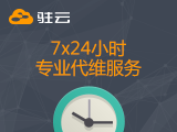 7*24专业代维服务(提供监控、事故处理、安全代维等)